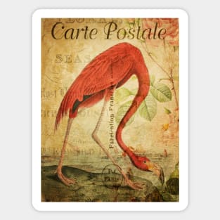 The Flamingo - Vintage French Postcard Magnet